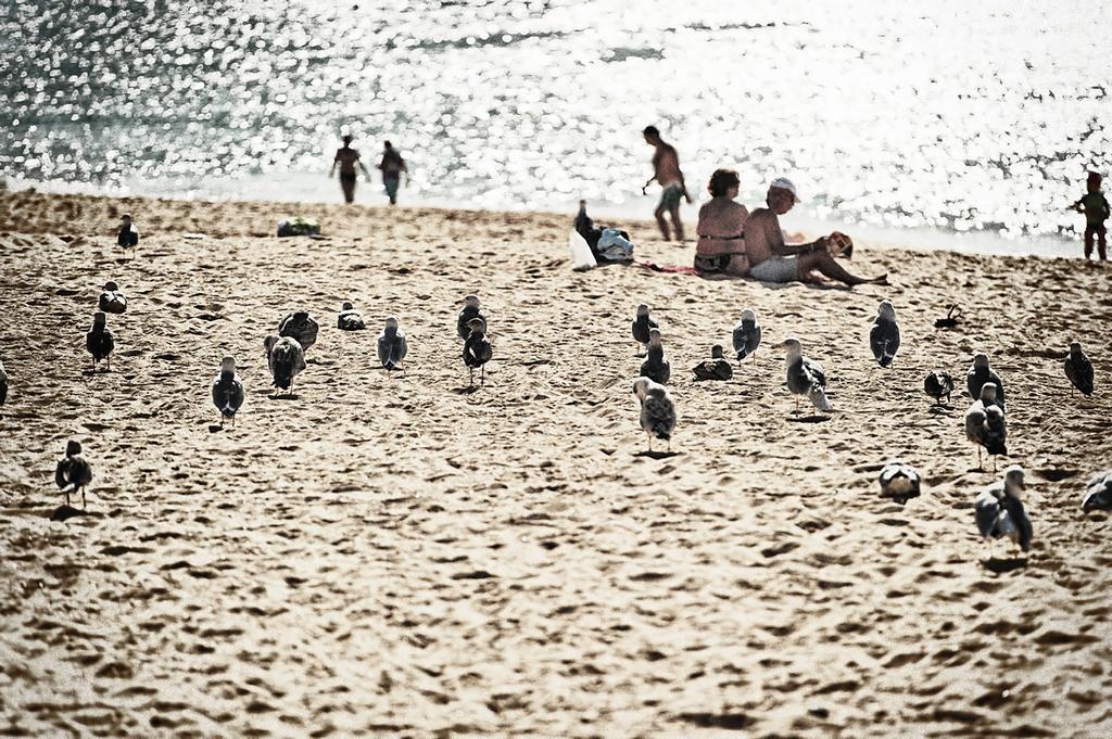 Rosamar Apartamentos Armação de Pêra Εξωτερικό φωτογραφία